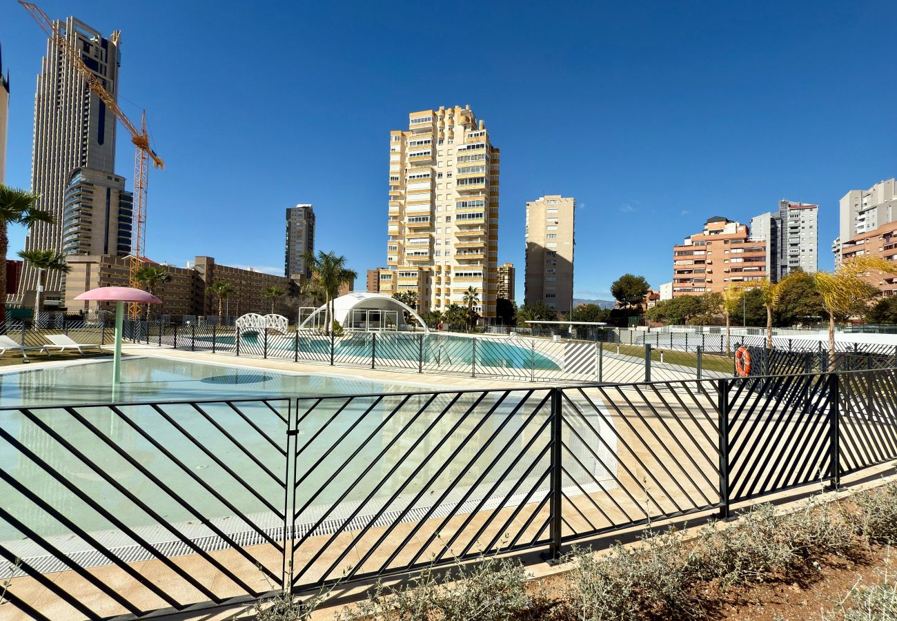 Apartamento en Benidorm - PISO 2 DORMITORIOS BENIDORM BEACH 6