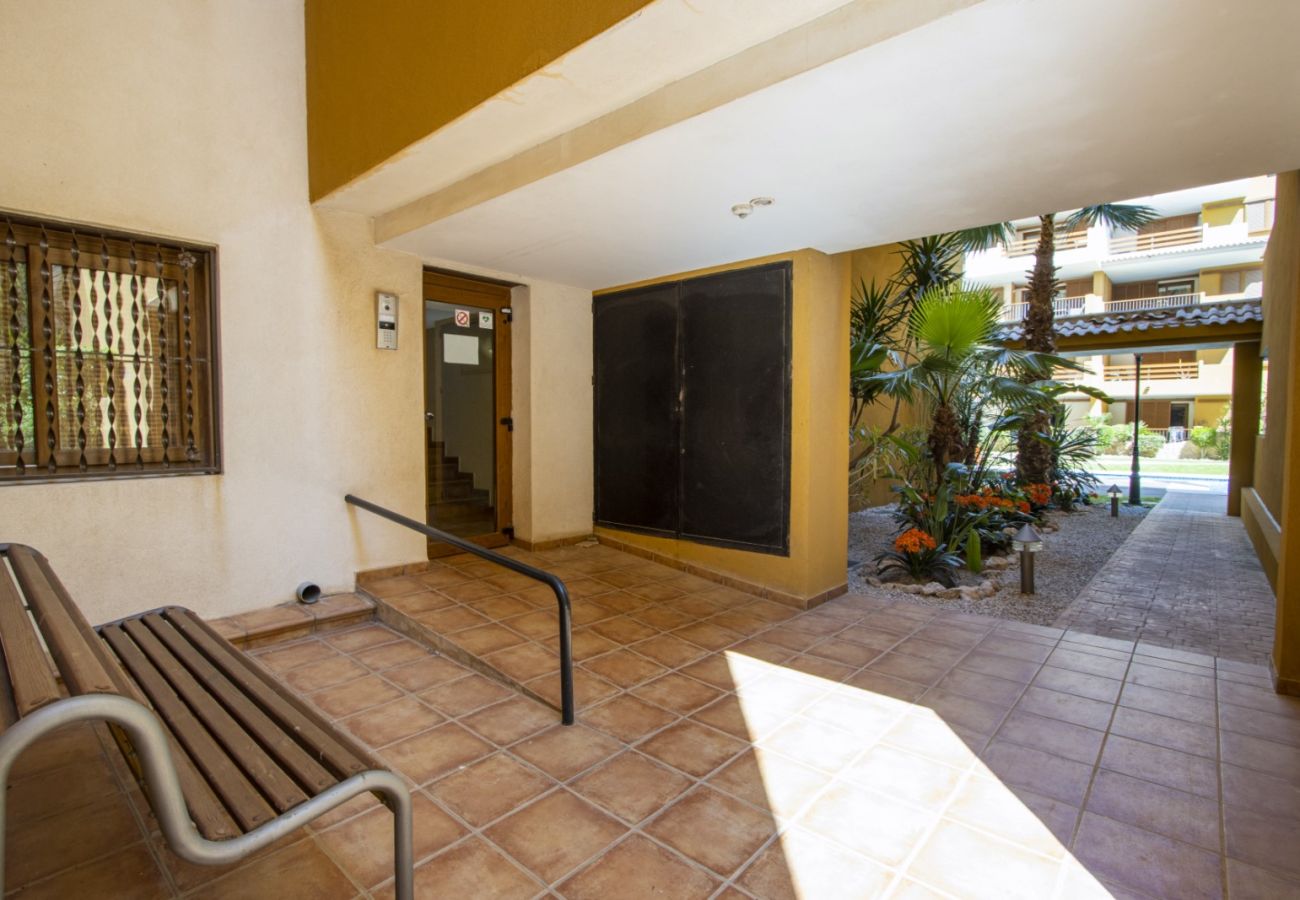 Apartamento en Torrevieja - ID198