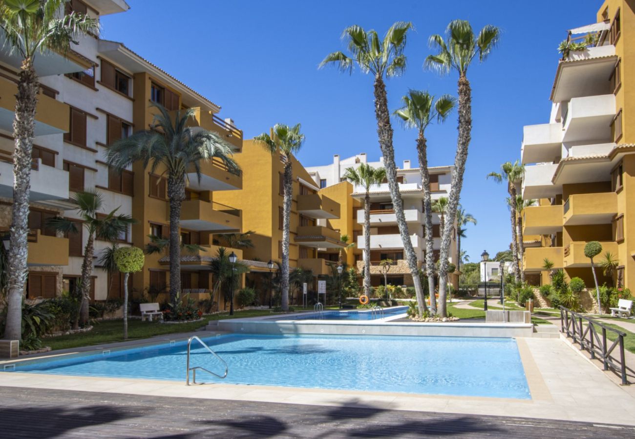 Apartamento en Torrevieja - ID198