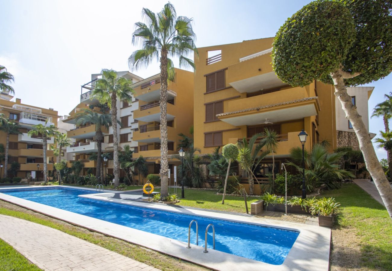 Apartamento en Torrevieja - ID198