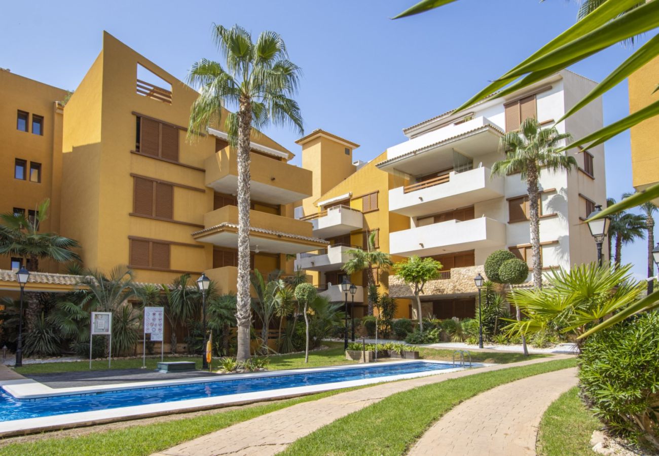 Apartamento en Torrevieja - ID198
