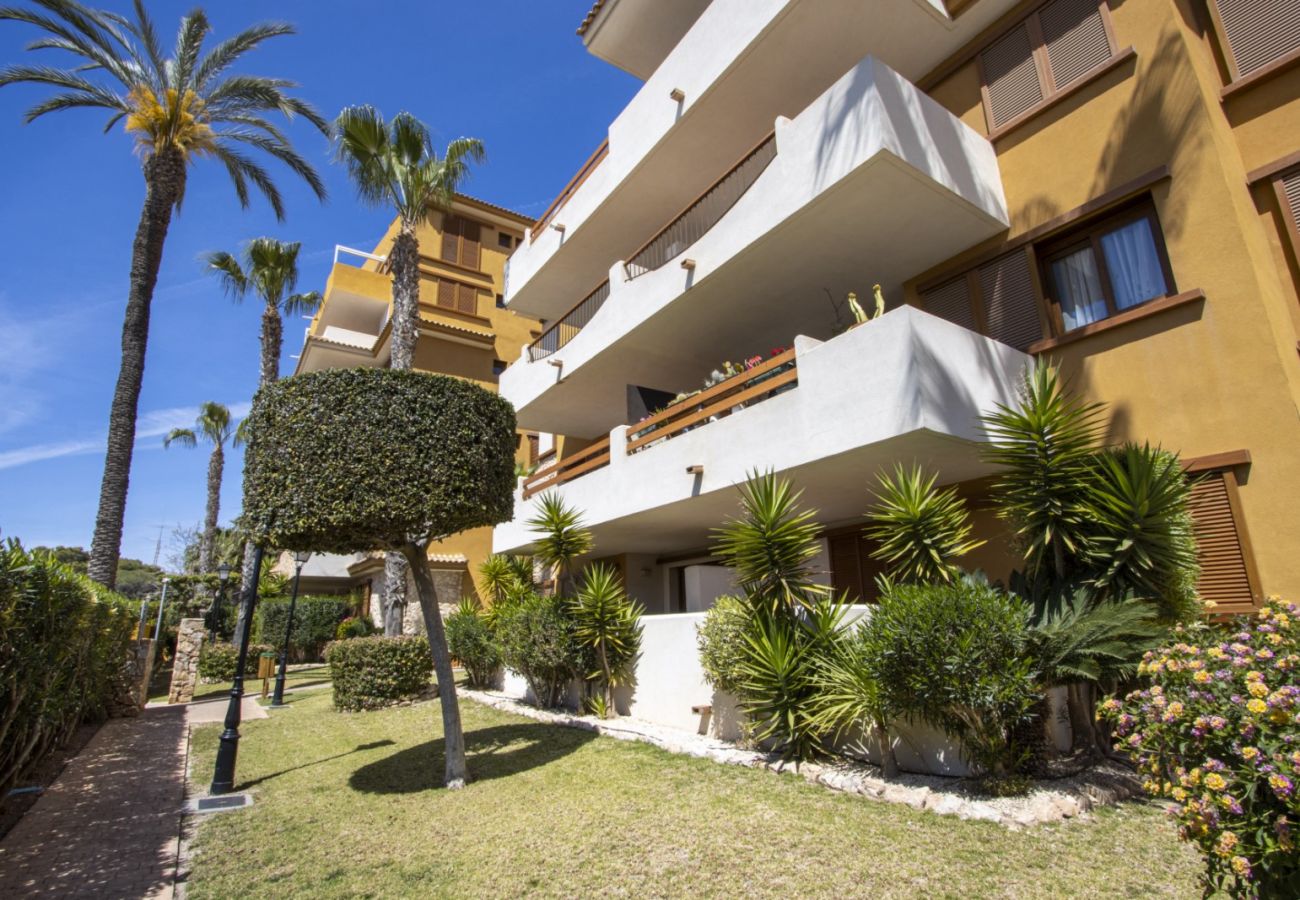 Apartamento en Torrevieja - ID198
