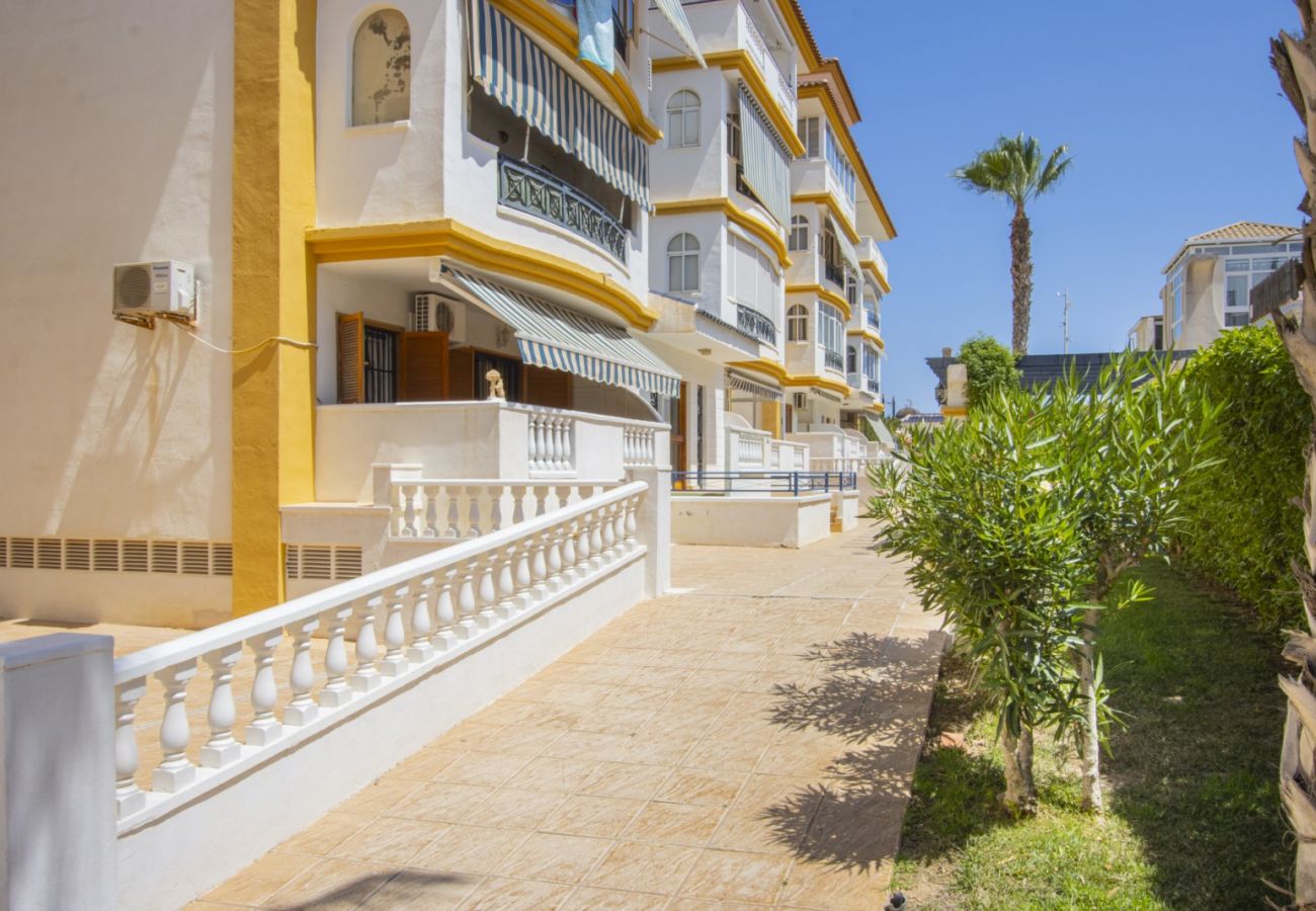 Apartamento en Torrevieja - ID184