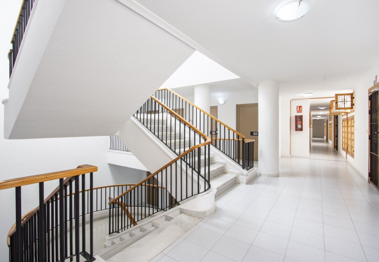 Apartamento en Torrevieja - ID129