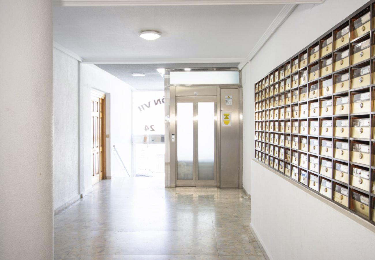 Apartamento en Torrevieja - ID129