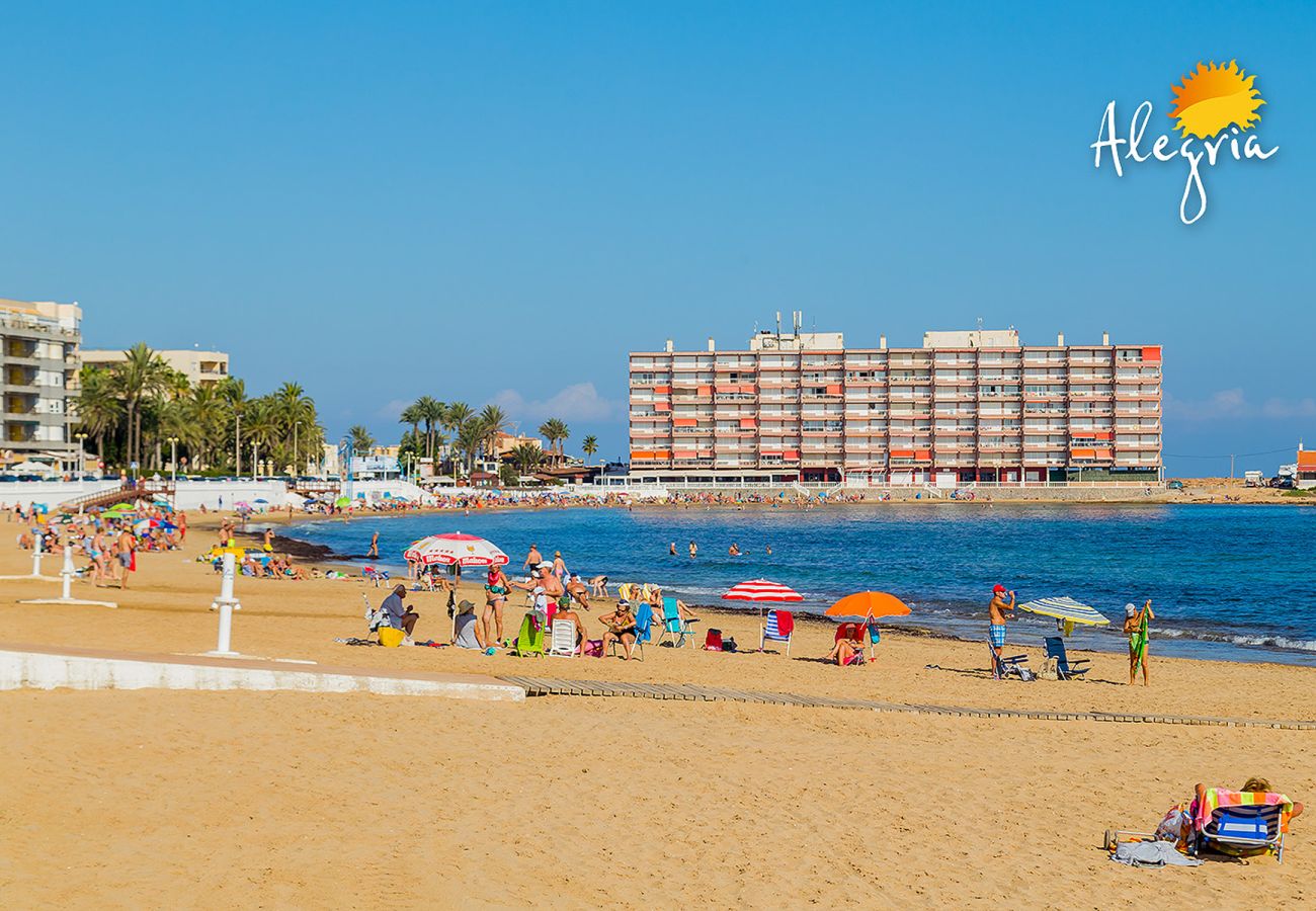 Apartamento en Torrevieja - ID199