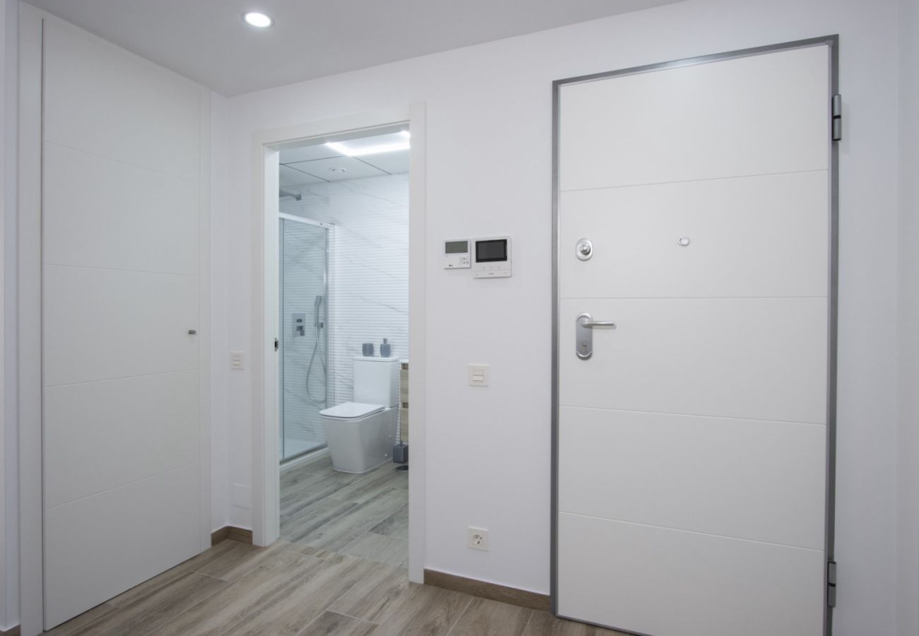 Apartamento en Torrevieja - ID177