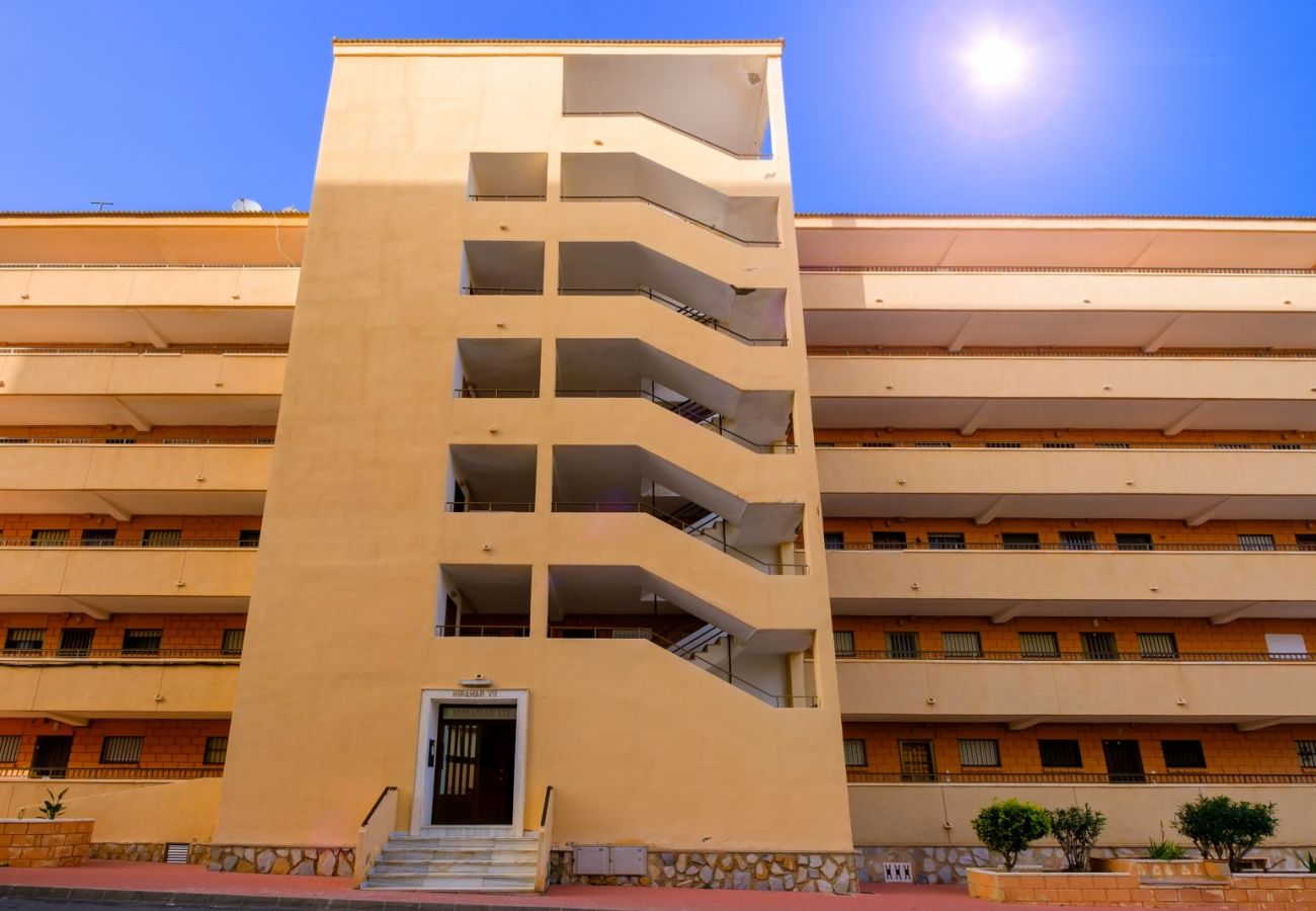Apartamento en Torrevieja - ID162