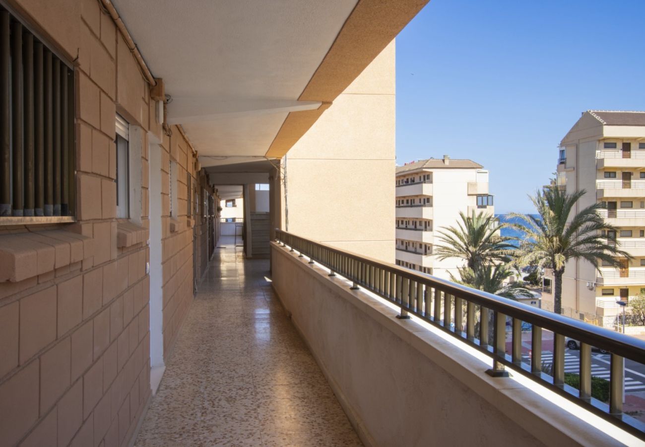 Apartamento en Torrevieja - ID162