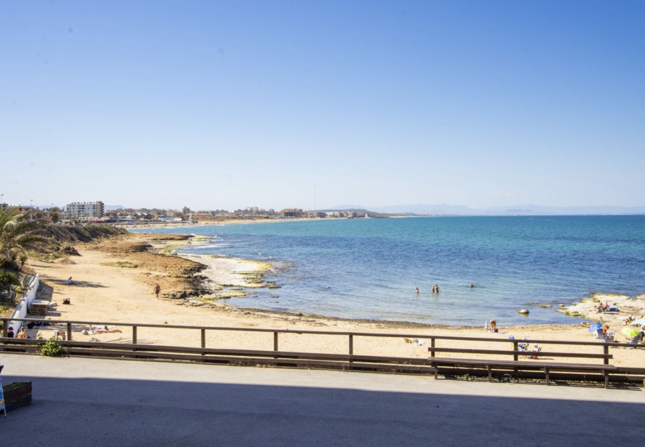 Apartamento en Torrevieja - ID162