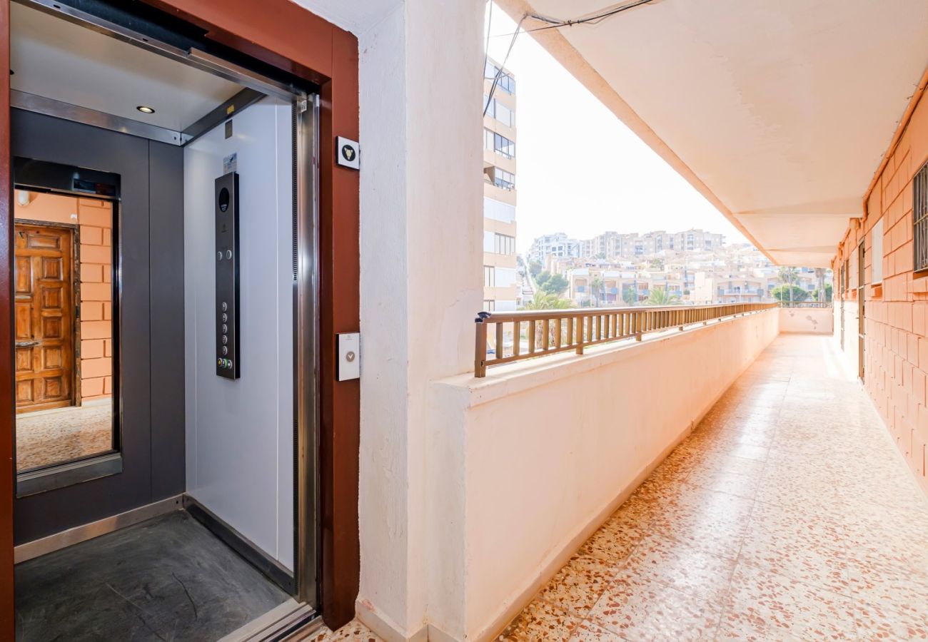 Apartamento en Torrevieja - ID162