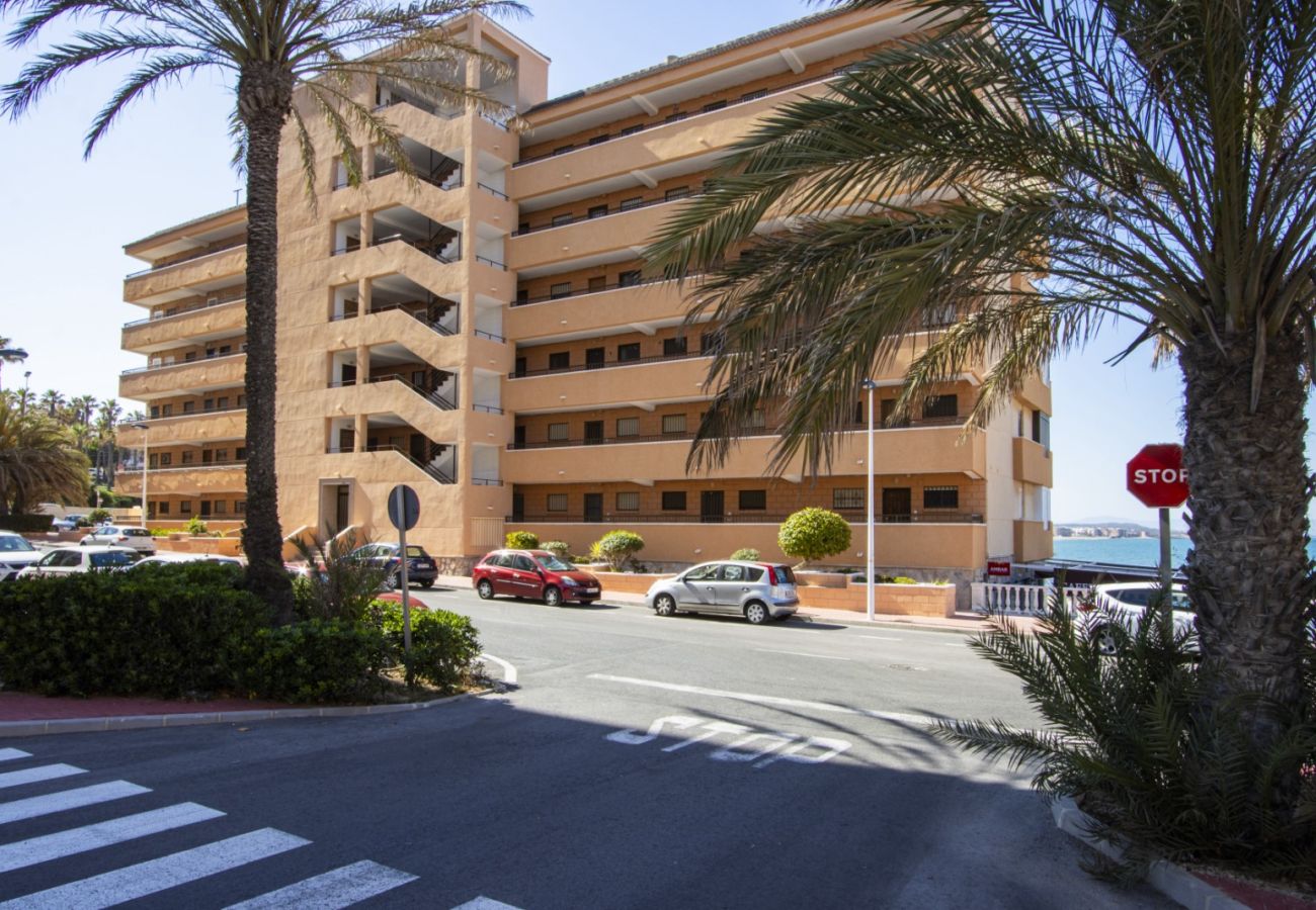 Apartamento en Torrevieja - ID162