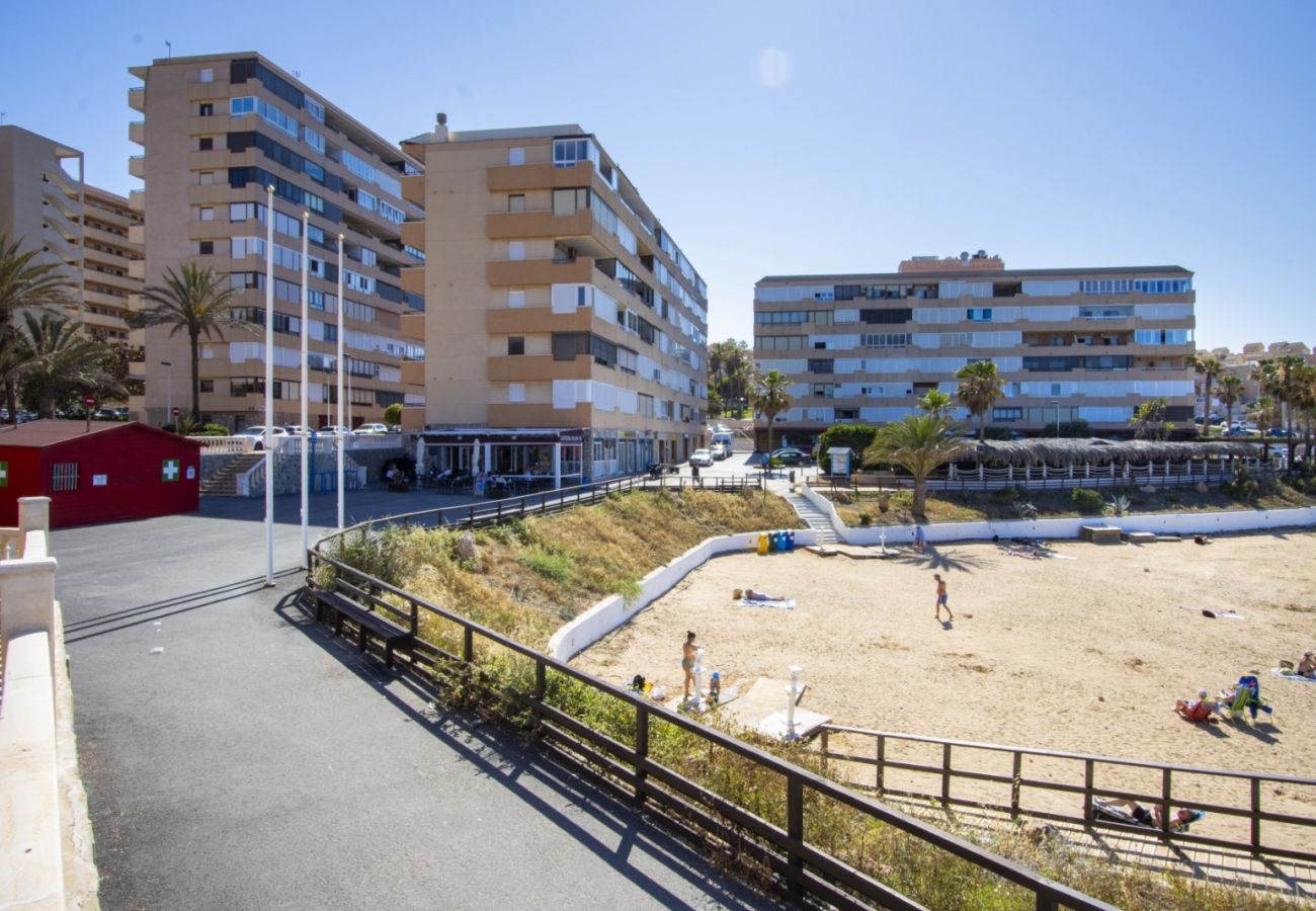 Apartamento en Torrevieja - ID162