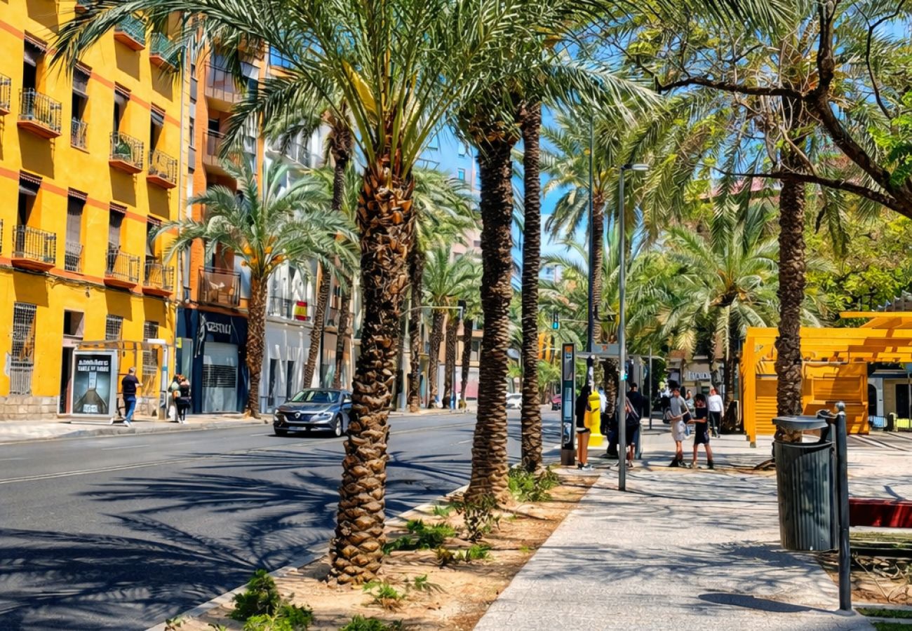 Apartamento en Alicante - ASL 3B PISO 1 DORMITORIO ALICANTE