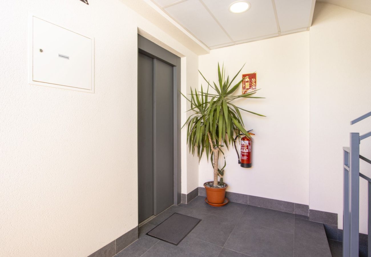 Apartamento en Torrevieja - ID132