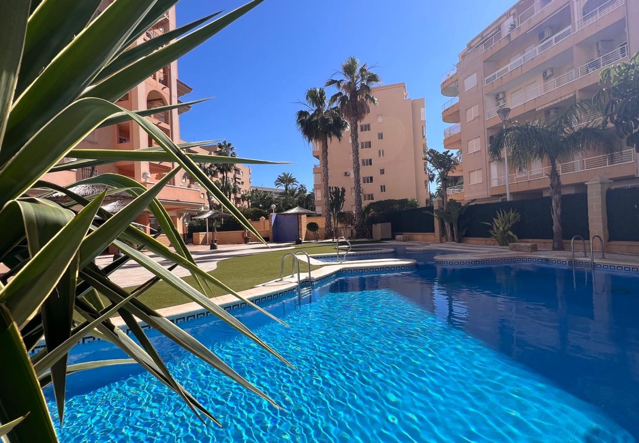 Apartamento en Torrevieja - ID17