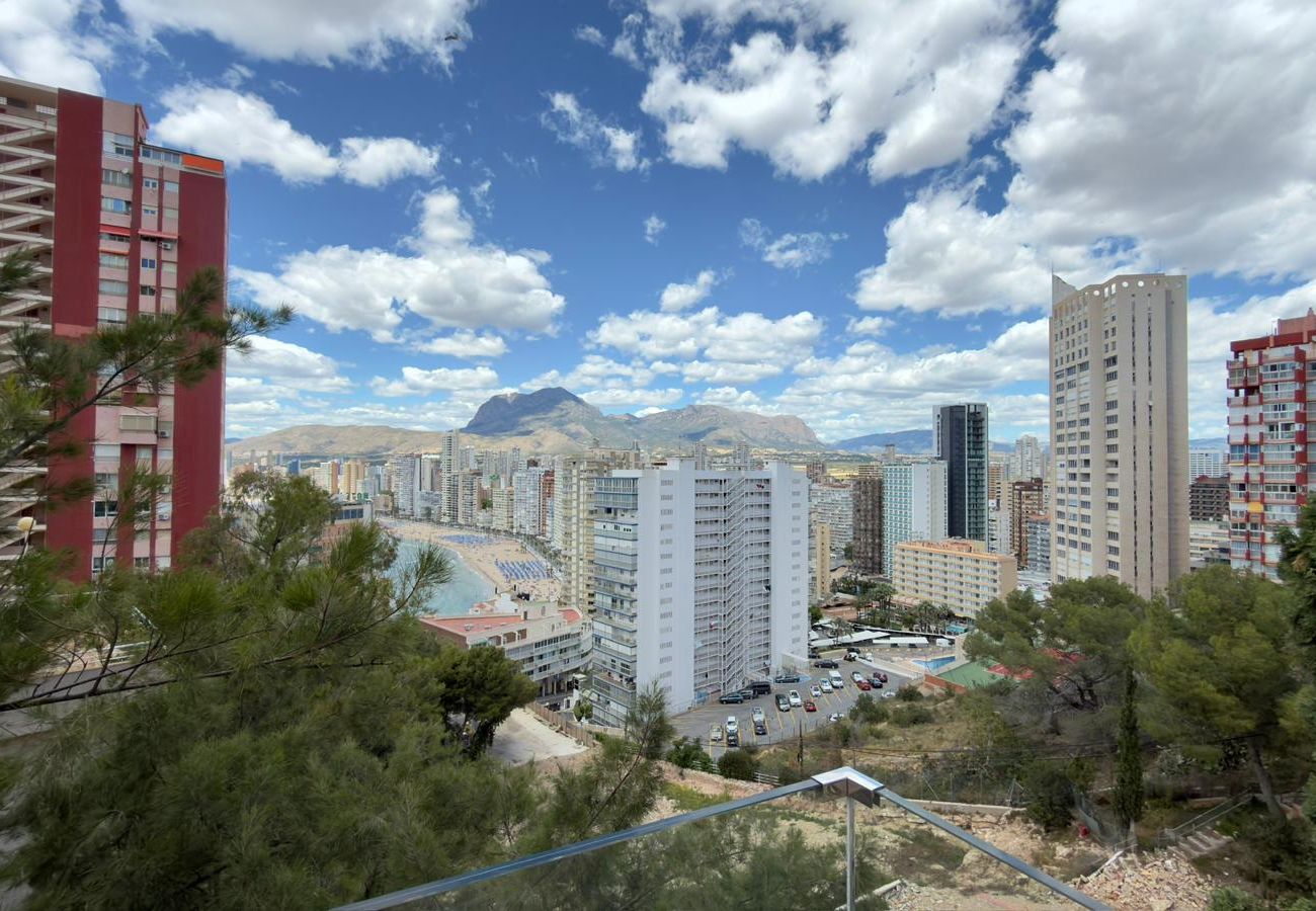 Apartamento en Benidorm - BL Piso Sierra Dorada 1 dormitorio