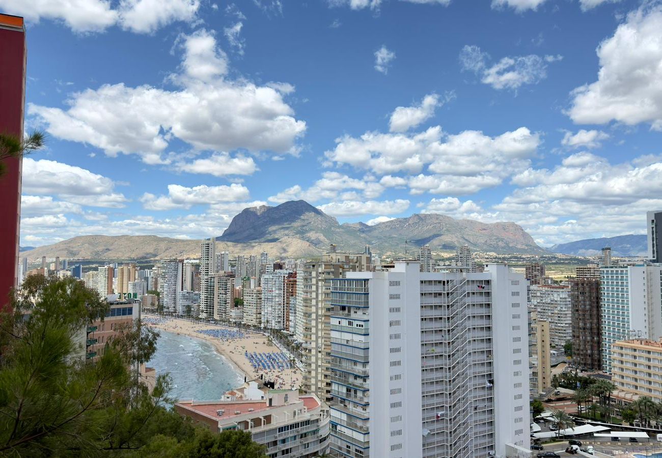 Apartamento en Benidorm - BL Piso Sierra Dorada 1 dormitorio