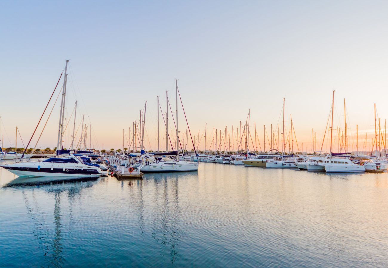 Apartamento en Torrevieja - ID165