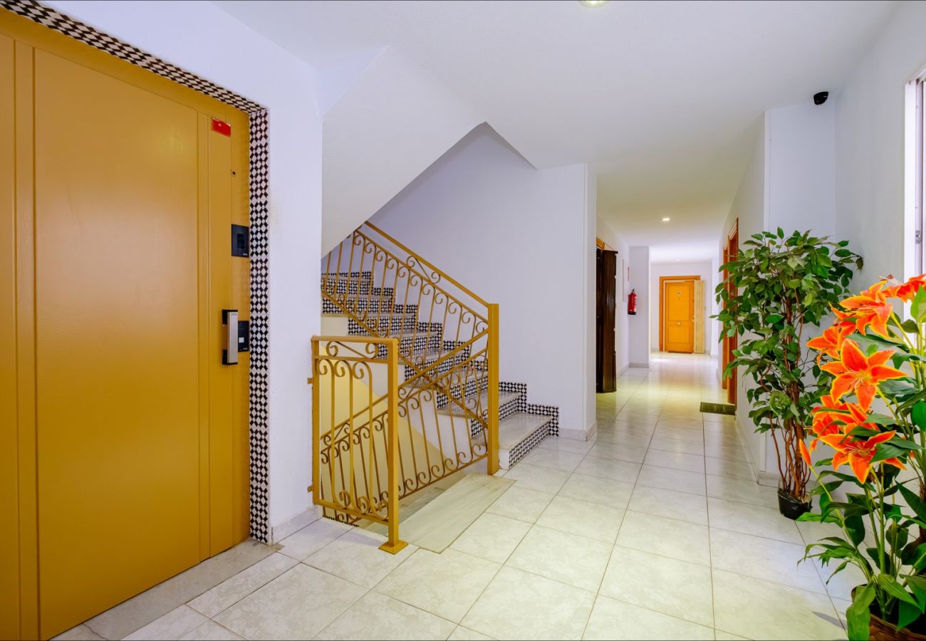 Apartamento en Torrevieja - ID141