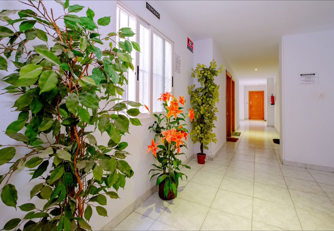 Apartamento en Torrevieja - ID141