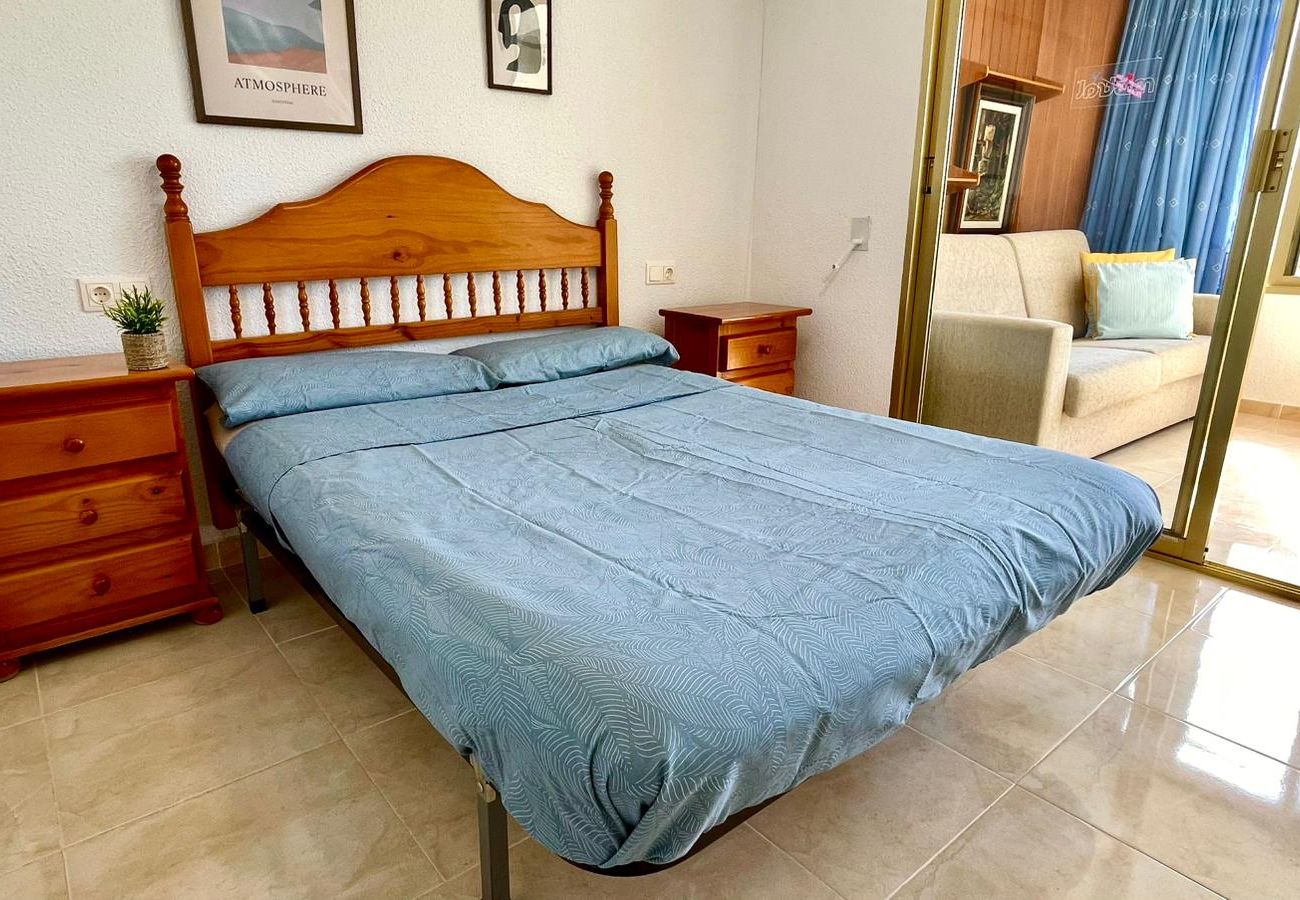 Apartamento en Benidorm - BSL Piso 1 Dormitorio Rincon