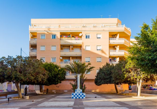 Apartment in Torrevieja - ID9