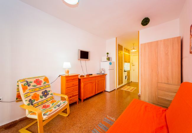 Apartment in Torrevieja - ID12