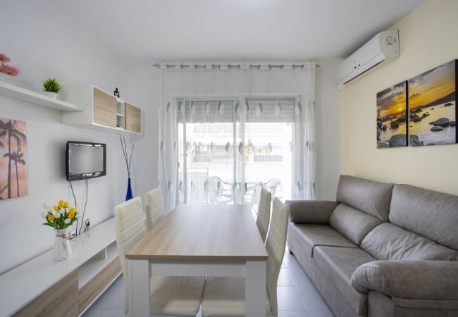 Apartment in Torrevieja - ID24