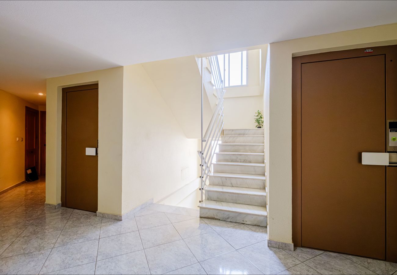 Apartment in Torrevieja - ID24