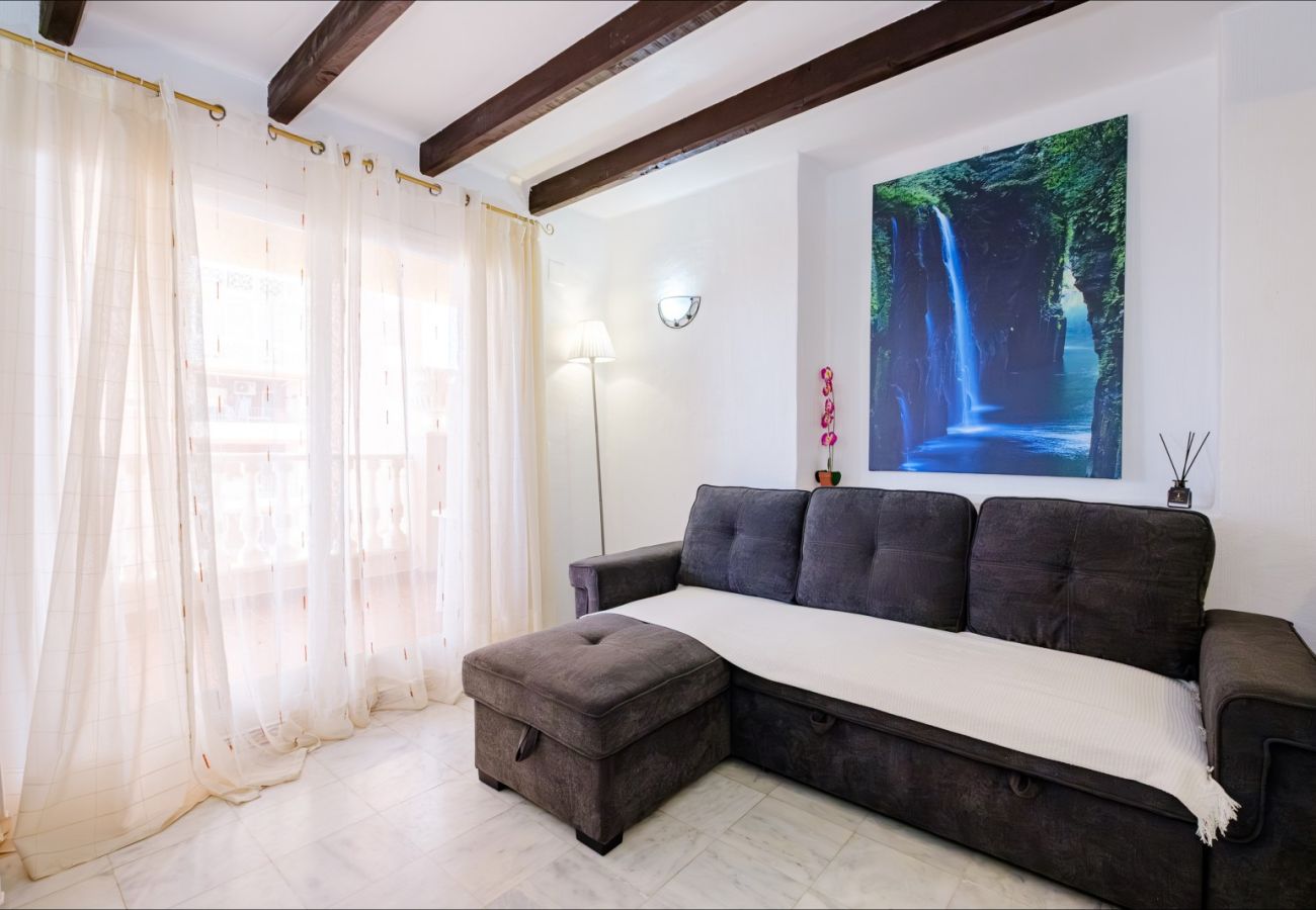 Apartment in Torrevieja - ID47