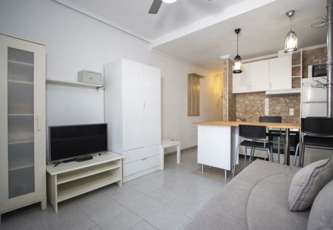Apartment in Torrevieja - ID49