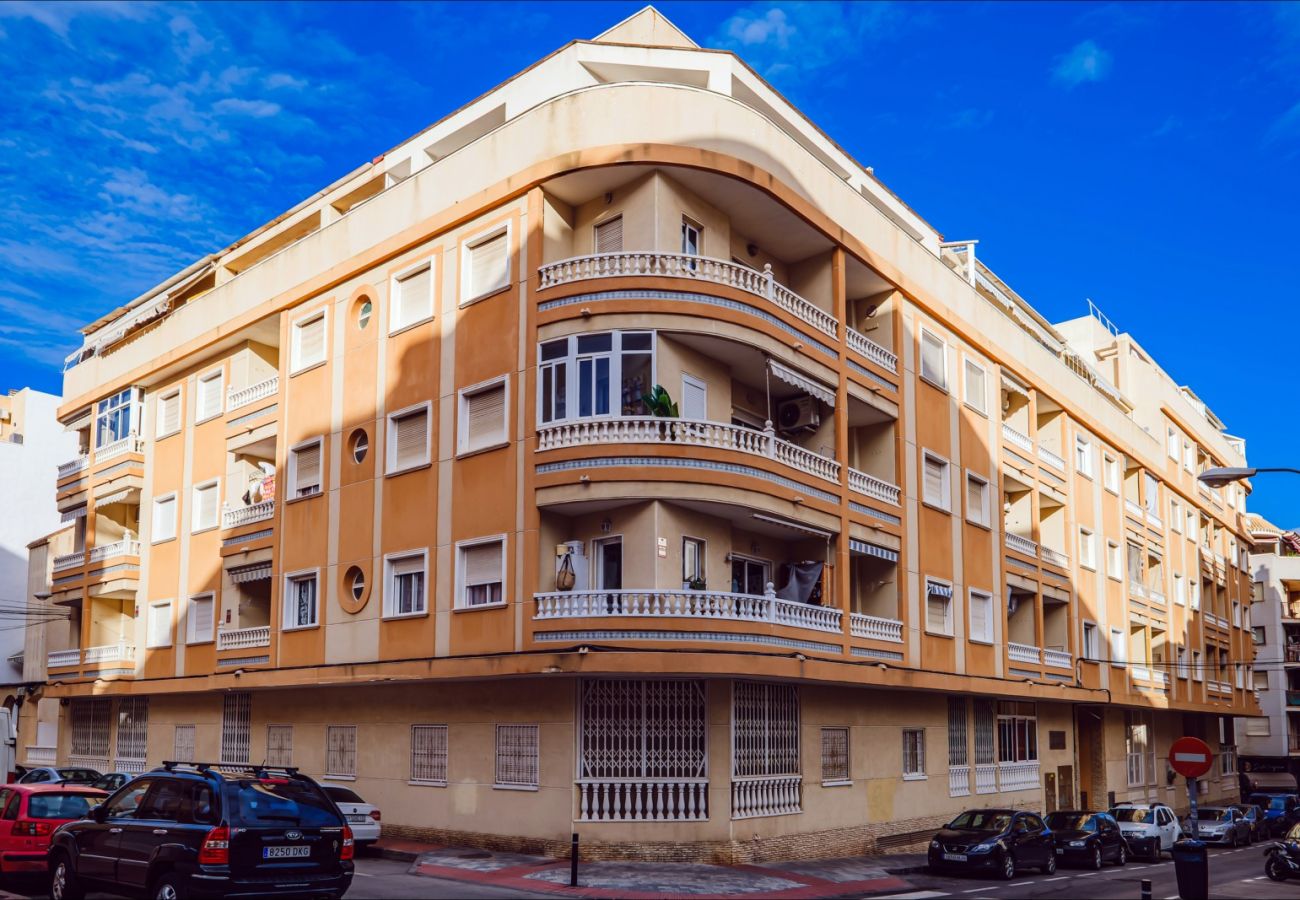 Apartment in Torrevieja - ID90
