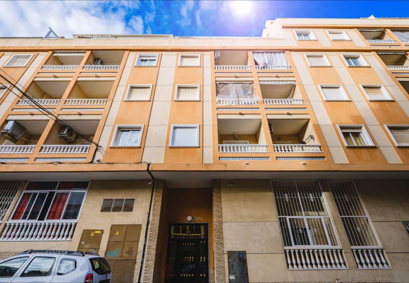Apartment in Torrevieja - ID90