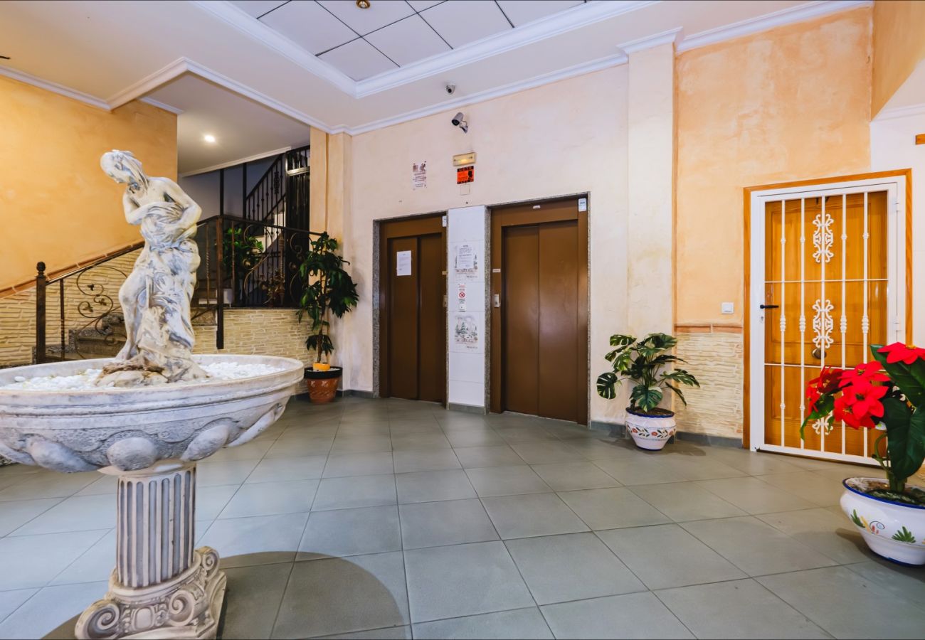 Apartment in Torrevieja - ID90