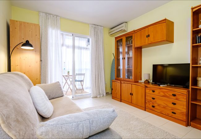 Apartment in Torrevieja - ID107