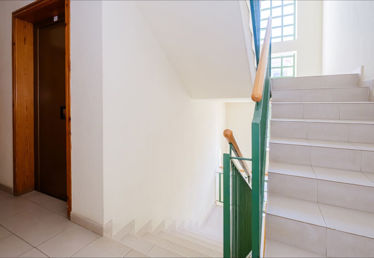 Apartment in Torrevieja - ID107