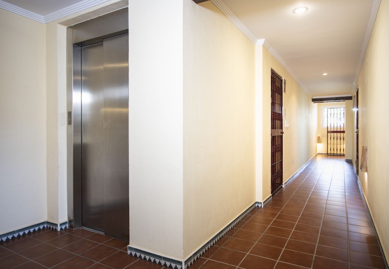Apartment in Torrevieja - ID157