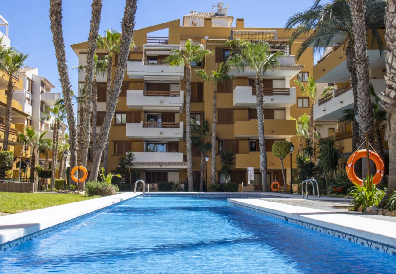 Apartment in Torrevieja - ID198