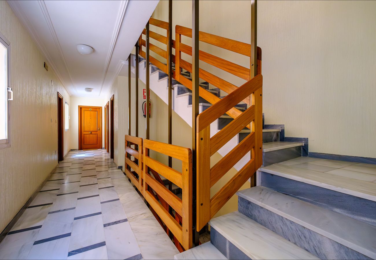 Apartment in Torrevieja - ID185