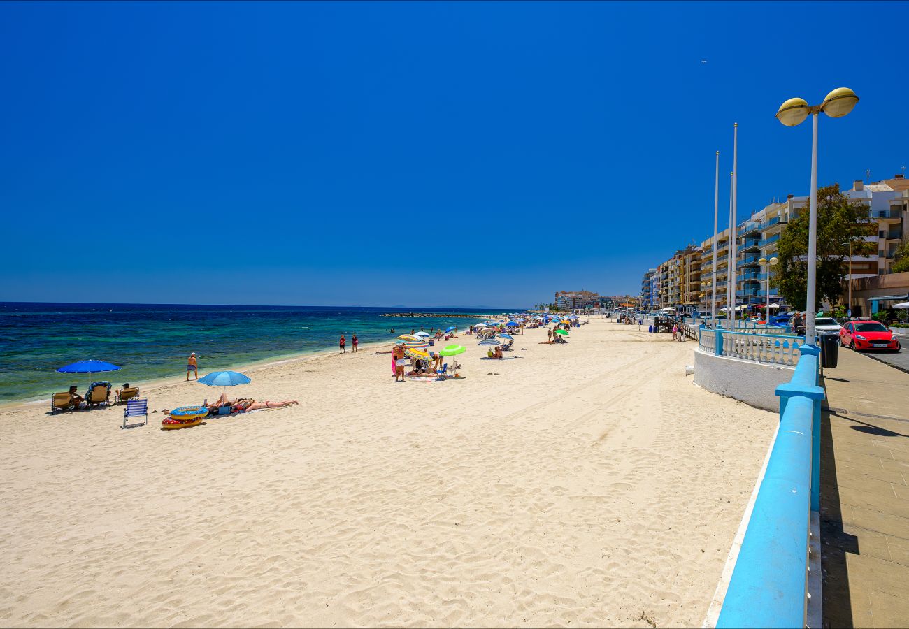 Apartment in Torrevieja - ID185