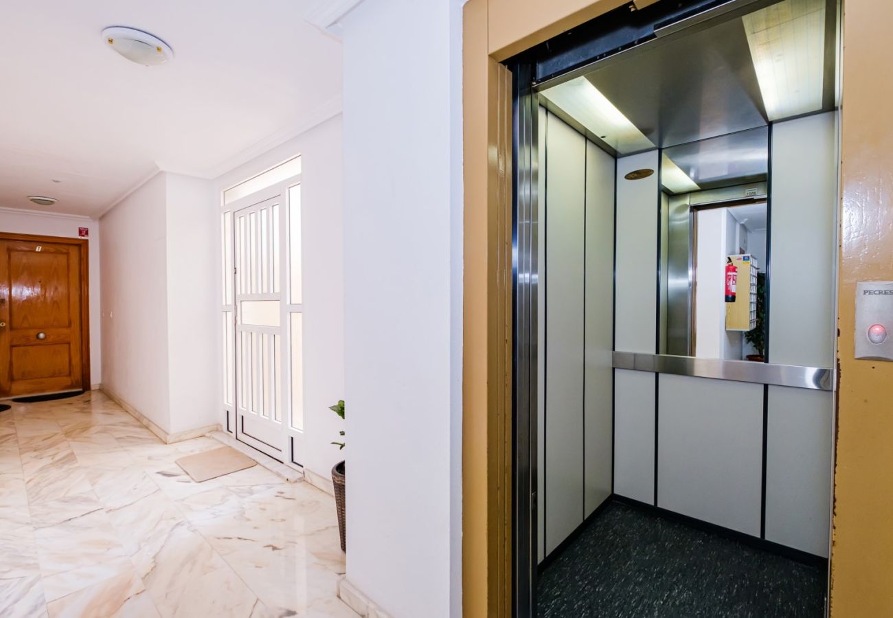 Apartment in Torrevieja - ID96