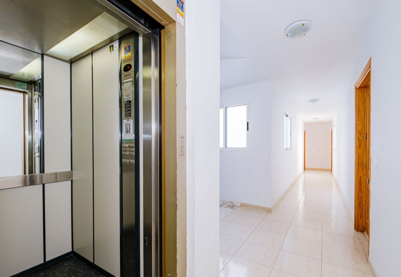 Apartment in Torrevieja - ID96