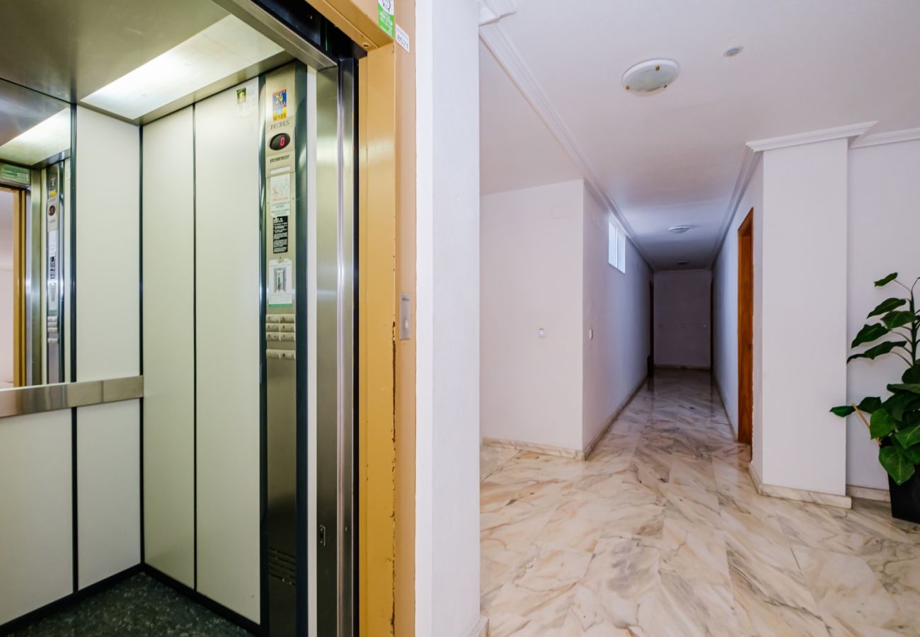 Apartment in Torrevieja - ID96