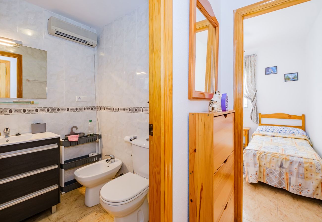 Apartment in Torrevieja - ID96