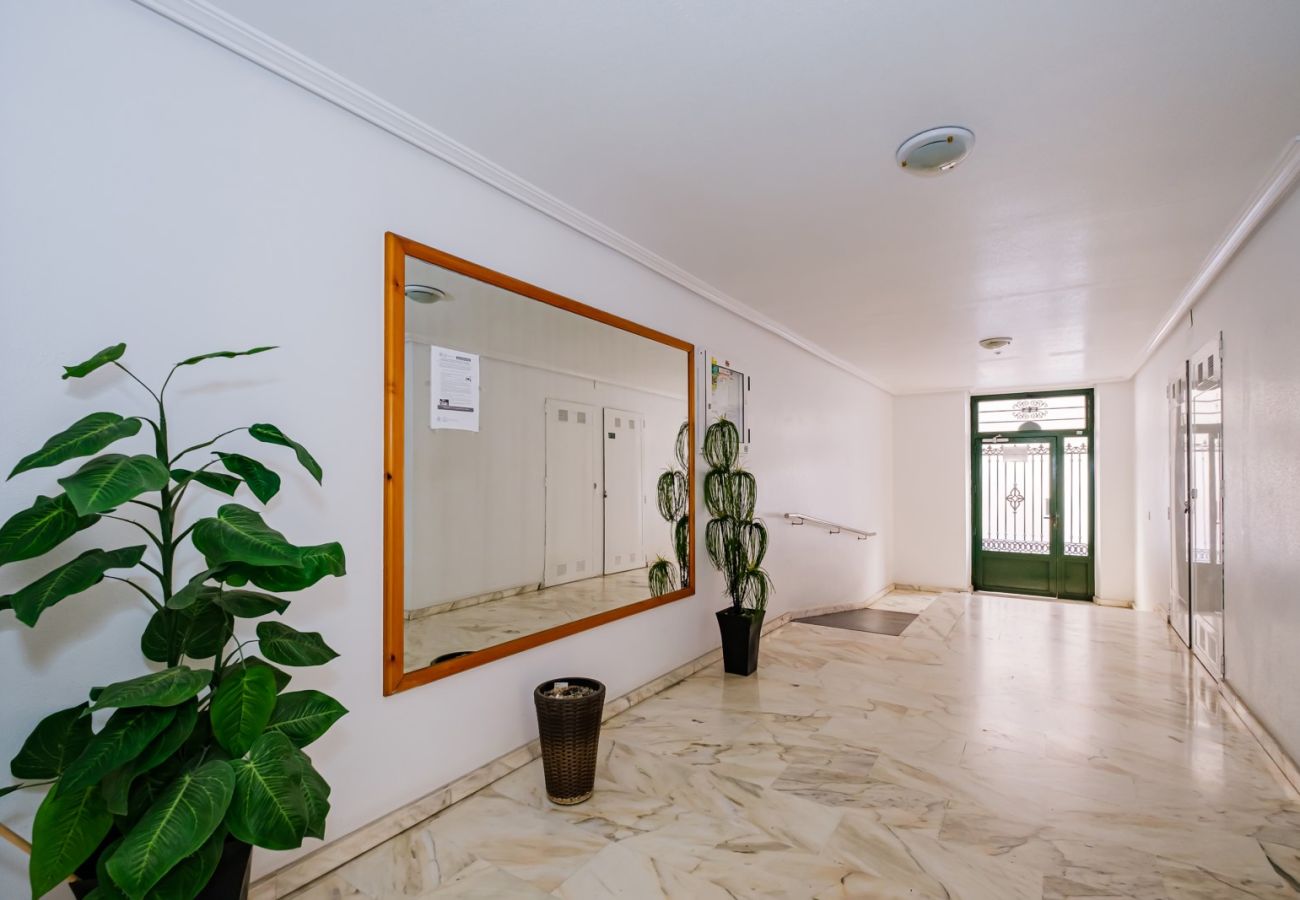 Apartment in Torrevieja - ID96