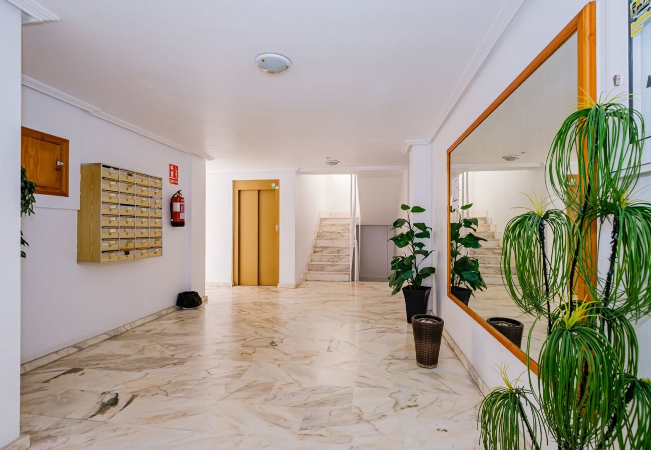 Apartment in Torrevieja - ID96