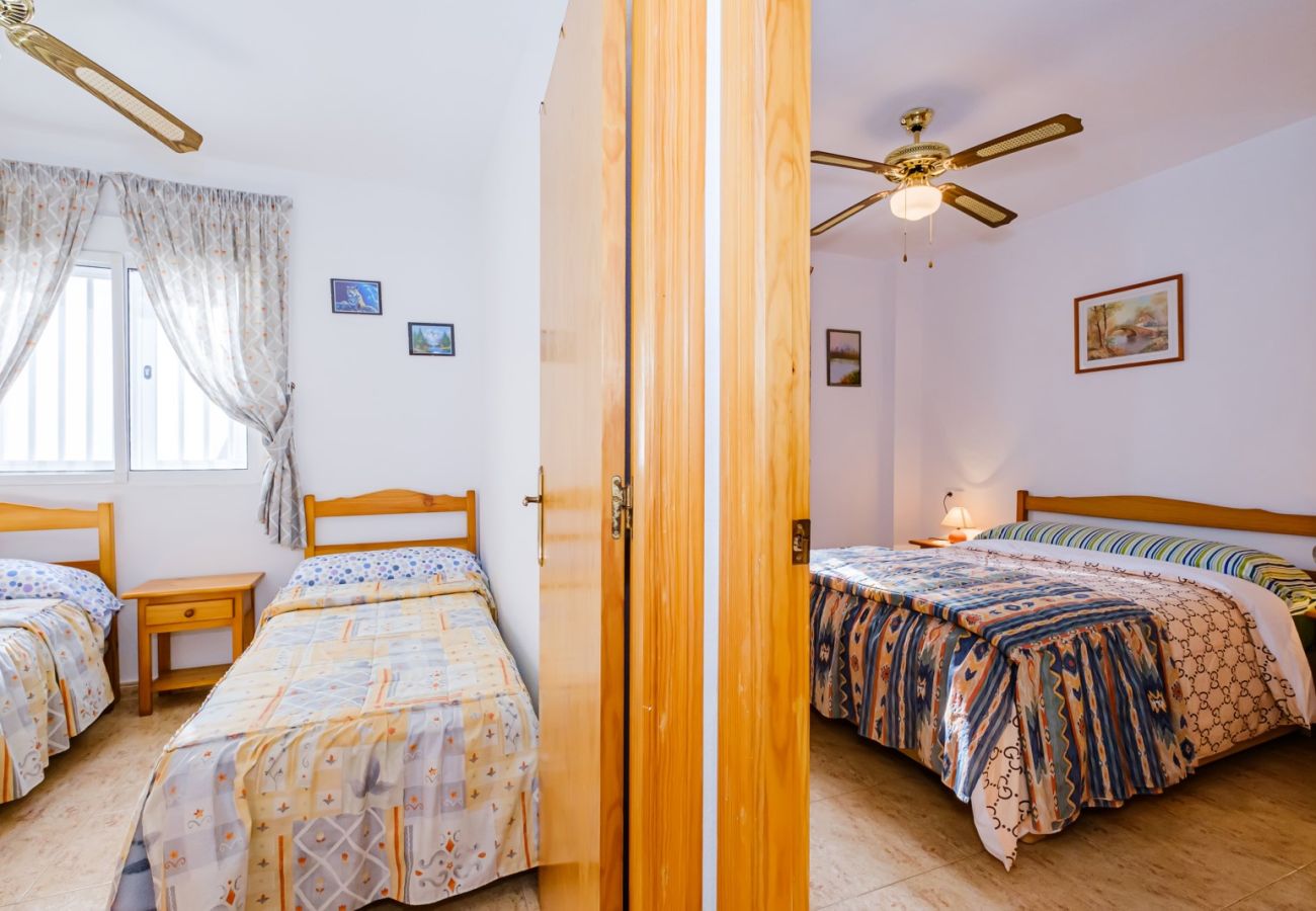 Apartment in Torrevieja - ID96