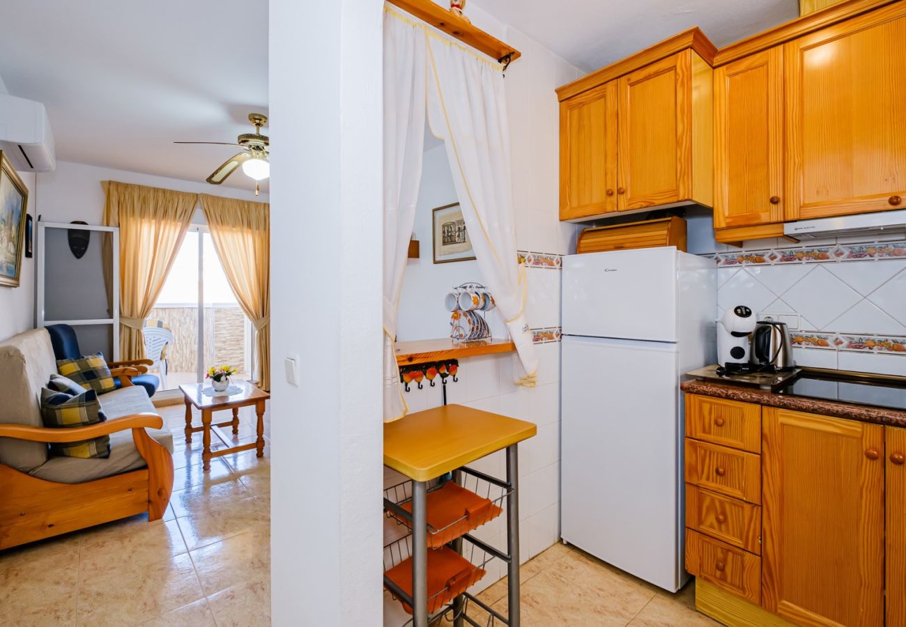 Apartment in Torrevieja - ID96