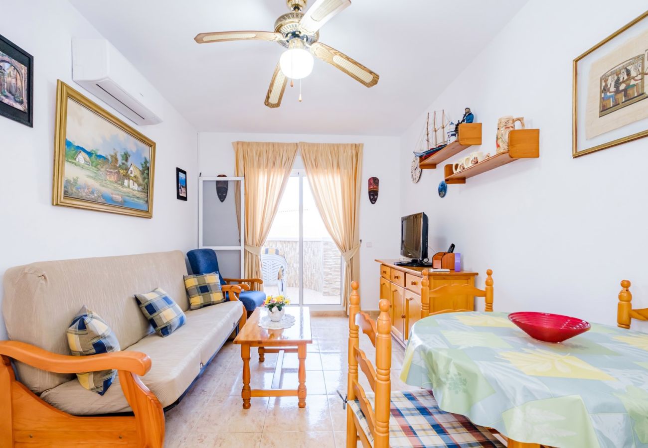 Apartment in Torrevieja - ID96